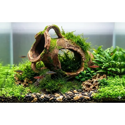 Décoration aquarium amphore cachette pour poissons