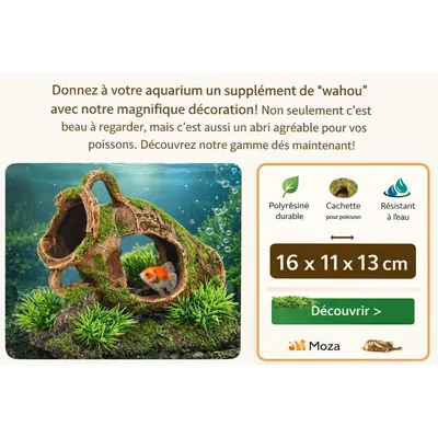 Décoration aquarium amphore cachette pour poissons
