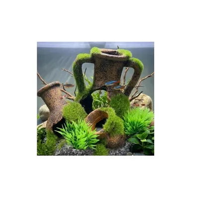 Décoration aquarium amphores empilées cachettes effet mousse Décoration aquarium amphores empilées cachettes effet mousse