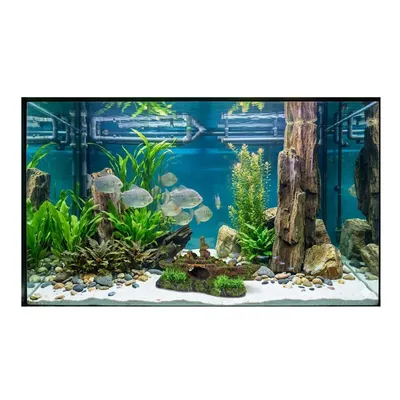 Décoration aquarium sous-marin épave cachettes poissons