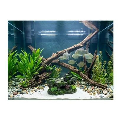 Décoration aquarium épave de bateau cachettes effet mousse