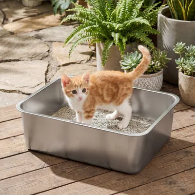 Feandrea Bac à Litière pour Chats en Acier Inoxydable, Ouvert