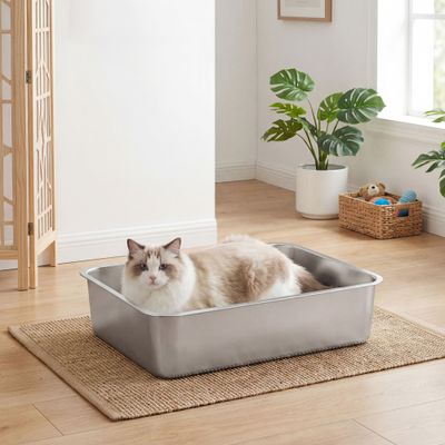 Feandrea Bac à Litière pour Chats en Acier Inoxydable, Ouvert