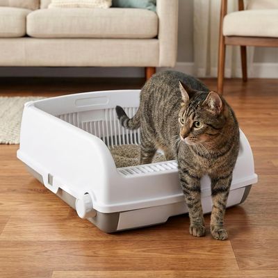 GIANTEX Bac Litière Chat 60x46 cm,Anti-Fuite,Ouvert sur Le Dessus,Tiroir