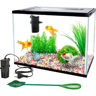 Kit Aquarium rectangulaire 16L avec filtre, gravier et épuisette