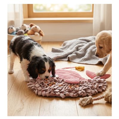 Jeu d'occupation et de fouille Morgane la baleine pour chien