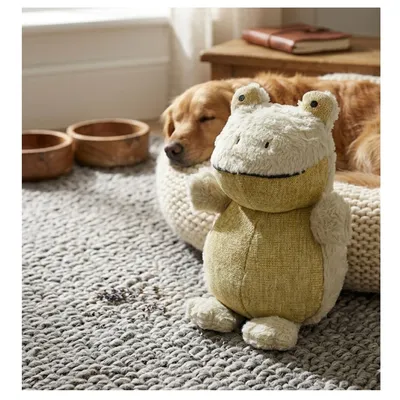 Jeu couineur Pensa la grenouille