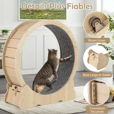 GIANTEX Roue d’Exercice Chat φ101 cm,Bois, Verrou,Antidérapant,Silencieuse GIANTEX Roue d’Exercice Chat φ101 cm,Bois, Verrou,Antidérapant,Silencieuse