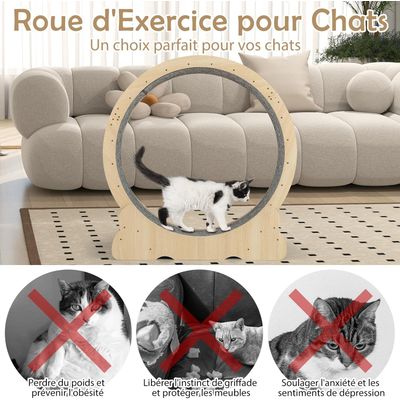 GIANTEX Roue d’Exercice Chat φ101 cm,Bois, Verrou,Antidérapant,Silencieuse