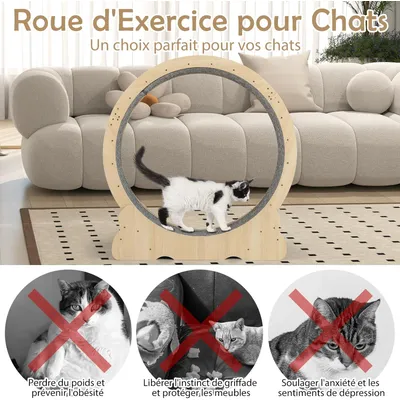 GIANTEX Roue d’Exercice Chat φ101 cm,Bois, Verrou,Antidérapant,Silencieuse