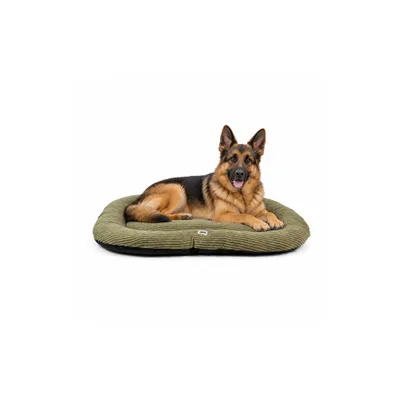 Mon Ami Luki - Coussin ovale antiderapant velours cotele