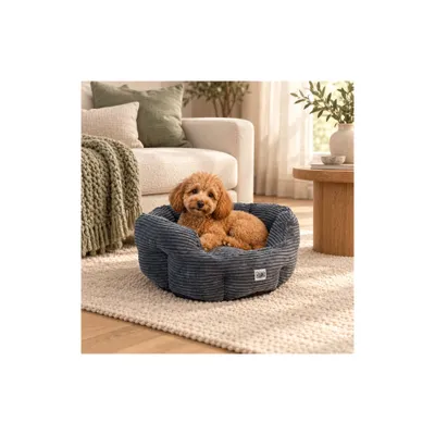 Mon Ami Luki - Panier rond antiderapant velours cotele couleur gris