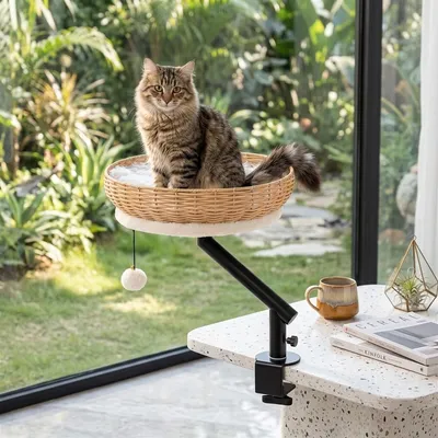 GIANTEX Bureau-lit Chat: Rotin, Rotatif 360°, Hamac, Coussin, Balle