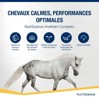 NutriScience Poudre AnxiKalm Compete