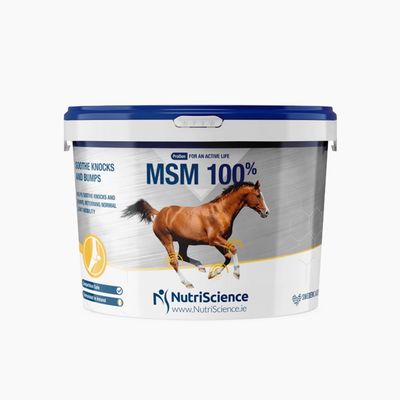 NutriScience poudre 100% MSM