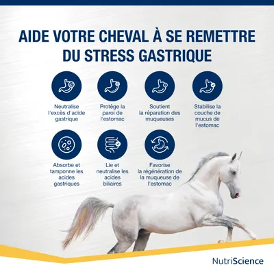 NutriScience poudre GastroCare