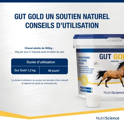 NutriScience poudre Gut Gold