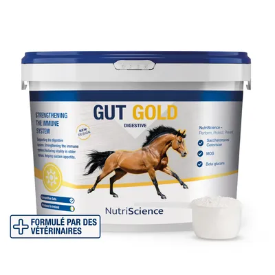NutriScience poudre Gut Gold