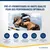 NutriScience poudre Gut Gold