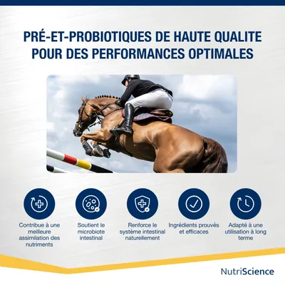 NutriScience poudre Gut Gold