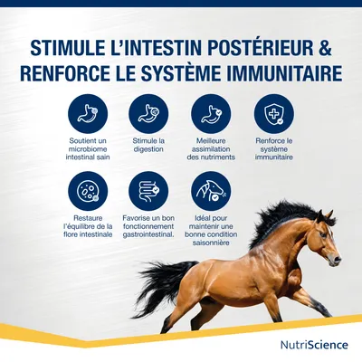 NutriScience poudre Gut Gold