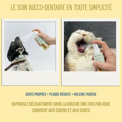Tails of Glory Kit Soins Naturels yeux, oreilles & dents - chiens et chats