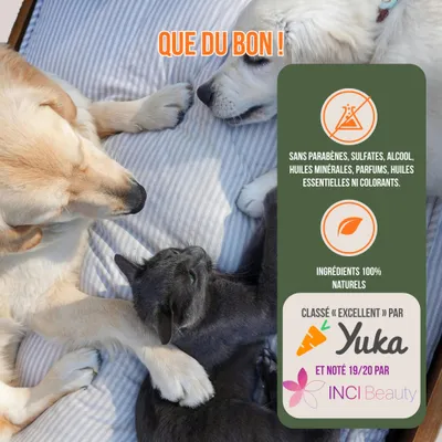 Tails of Glory Kit Soins Naturels yeux, oreilles & dents - chiens et chats