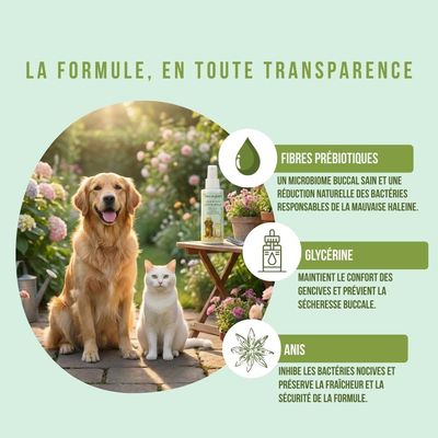 Tails of Glory Spray Dentaire Chien & Chat 100% Naturel, Haleine, Plaque