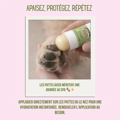 Tails of Glory Baume stick 100 % naturel : nourrit, répare et protège