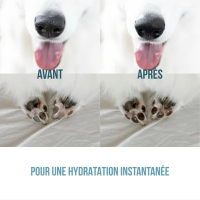 Tails of Glory Baume stick 100 % naturel : nourrit, répare et protège