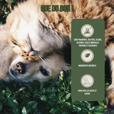 Tails of Glory Soin Auriculaire 100 % - Naturel nettoie les oreilles