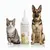 Oreille-100ml