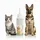 Oreille-100ml