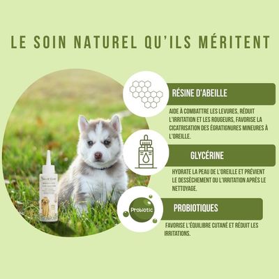Tails of Glory Soin Auriculaire 100 % - Naturel nettoie les oreilles