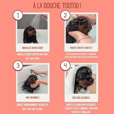 Tails of Glory Shampoing Solide à l’Huile d’Argan BIO, Chiens et Chiots