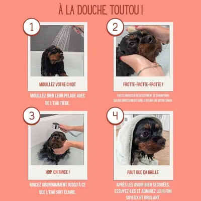 Tails of Glory Shampoing Solide à l’Huile d’Argan BIO, Chiens et Chiots