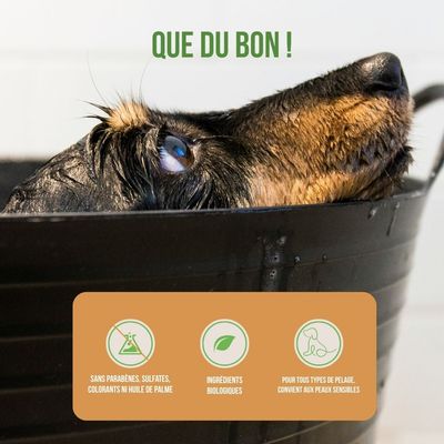 Tails of Glory Shampoing Solide à l’Huile d’Argan BIO, Chiens et Chiots
