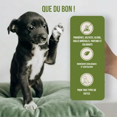 Tails Of Glory Nettoyant Mousse Pattes Naturel, Brosse Souple, sans Rinçage