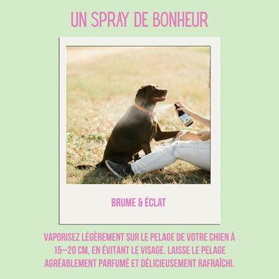 Tails of Glory Parfum Coco pour Chiens, Vegan, Naturel & Cruelty Free