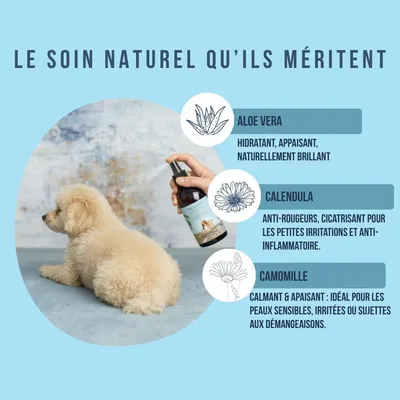 Tails of Glory Parfum Coco pour Chiens, Vegan, Naturel & Cruelty Free