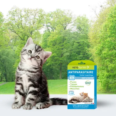 Vétoform Collier Antiparasitaire Chat & Chaton 35cm - 4 mois de protection