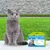 Vétoform Pipettes Antiparasitaires Chat Adulte - 3 mois de protection