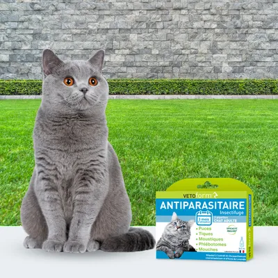 Vétoform Pipettes Antiparasitaires Chat Adulte - 3 mois de protection