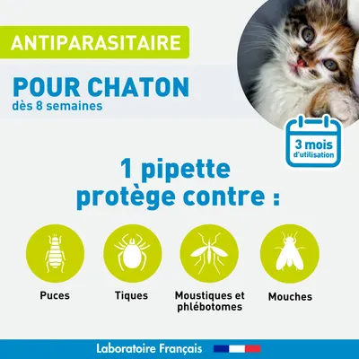 Vétoform Pipettes Antiparasitaires Chaton - 3 mois de protection
