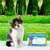 Vétoform Pipettes Antiparasitaires Chaton - 3 mois de protection
