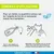 Vétoform Pipettes Antiparasitaires Chaton - 3 mois de protection
