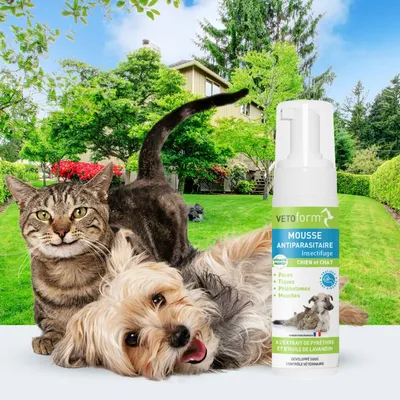 Vétoform Mousse Antiparasitaire Chien & Chat - 150ml