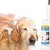 Vétoform Shampooing doux Chien - Usage Fréquent - 200ml