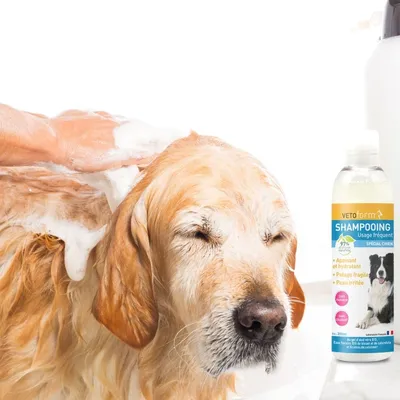 Vétoform Shampooing doux Chien - Usage Fréquent - 200ml