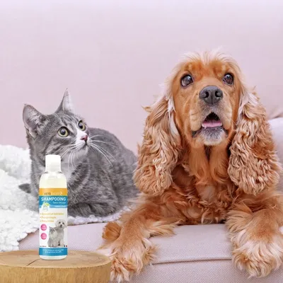 Vétoform Shampooing sans rinçage Chien et Chat - 200ml
